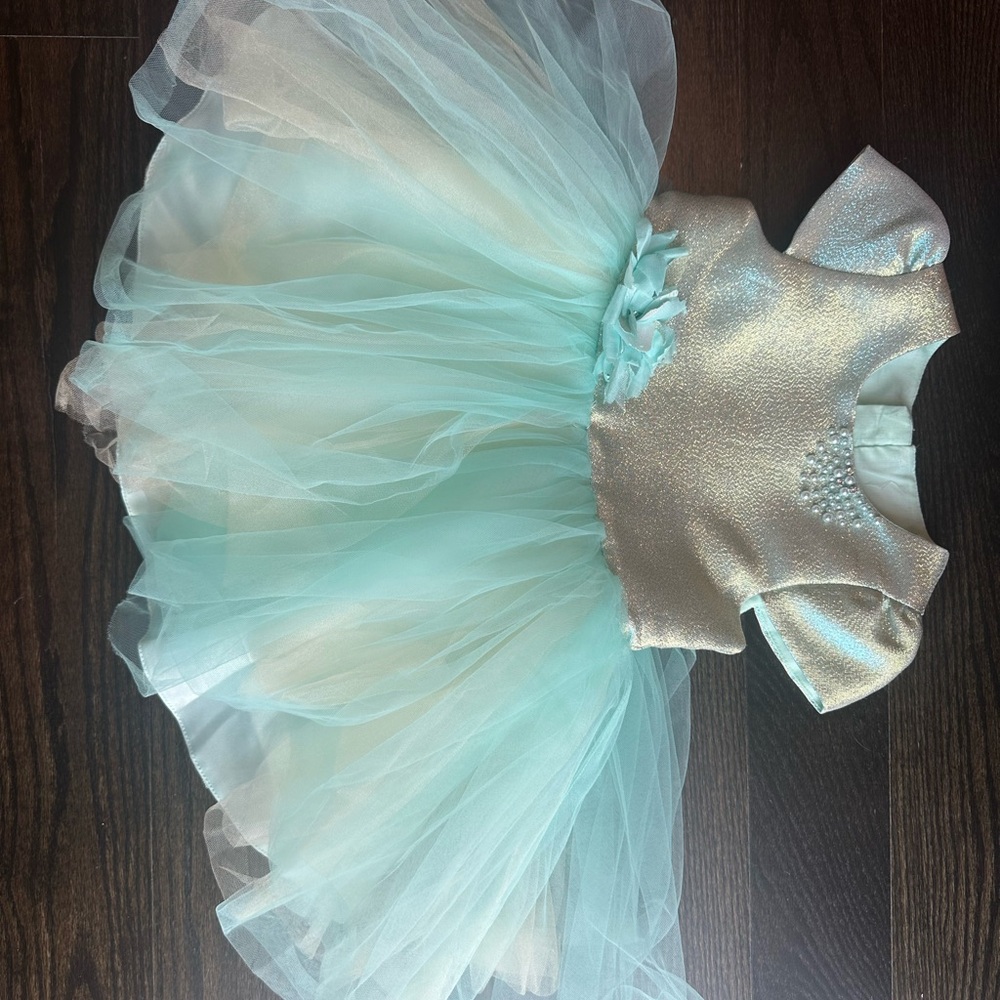 Elegant Mint and Silver Kids Costume Dress